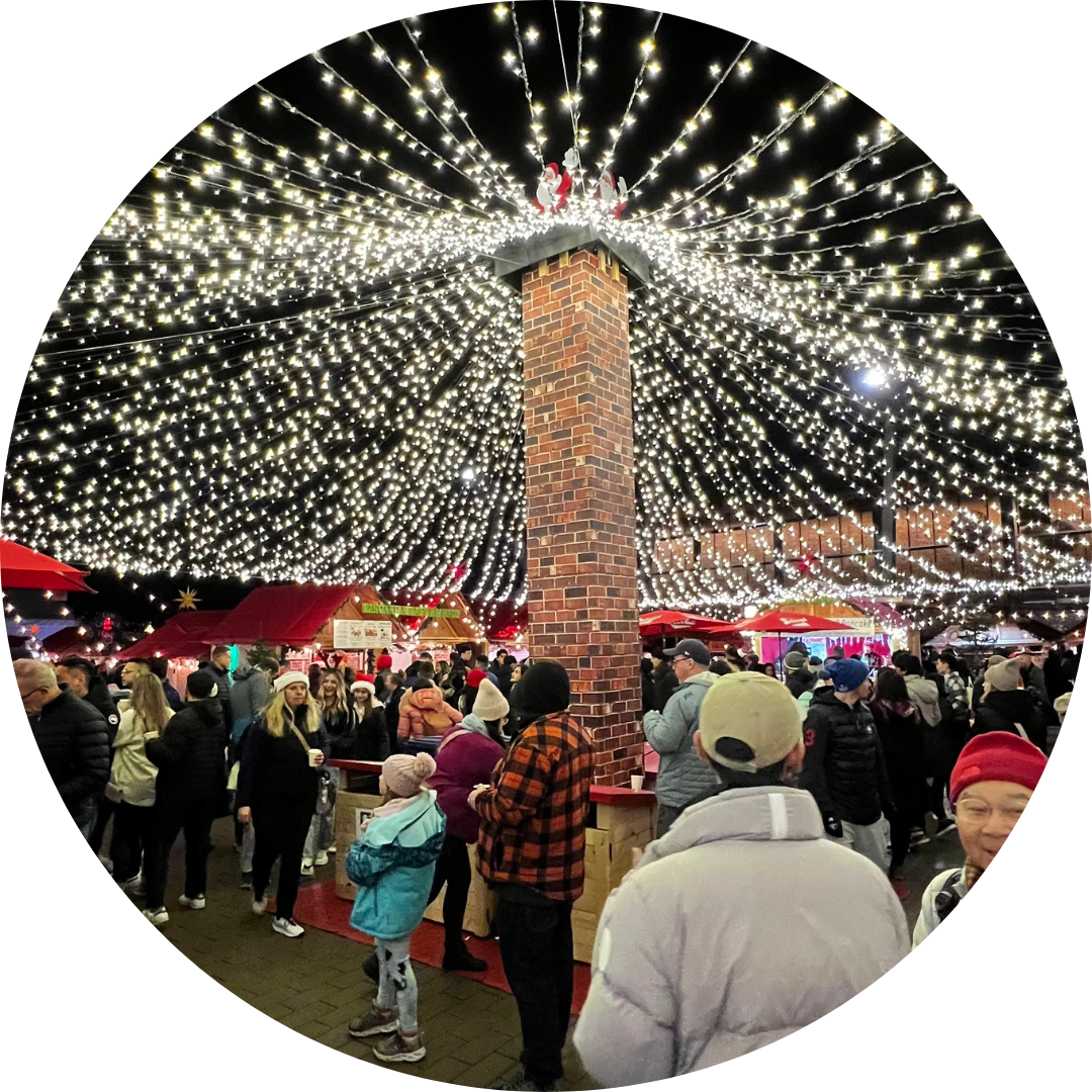 Sky Curtain of Lights